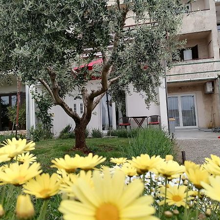 Leona Apartment Vidikovac, Pula Dış mekan fotoğraf