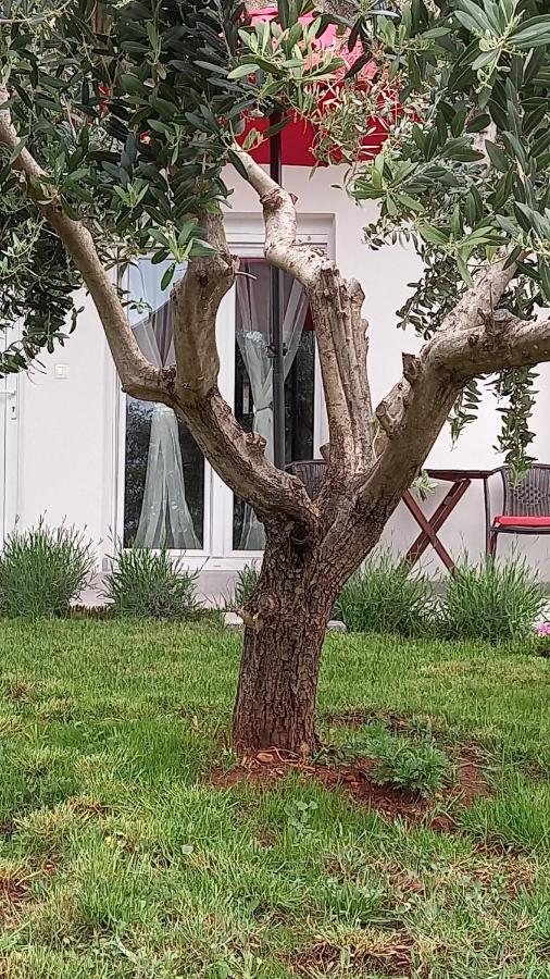 Leona Apartment Vidikovac, Pula Dış mekan fotoğraf
