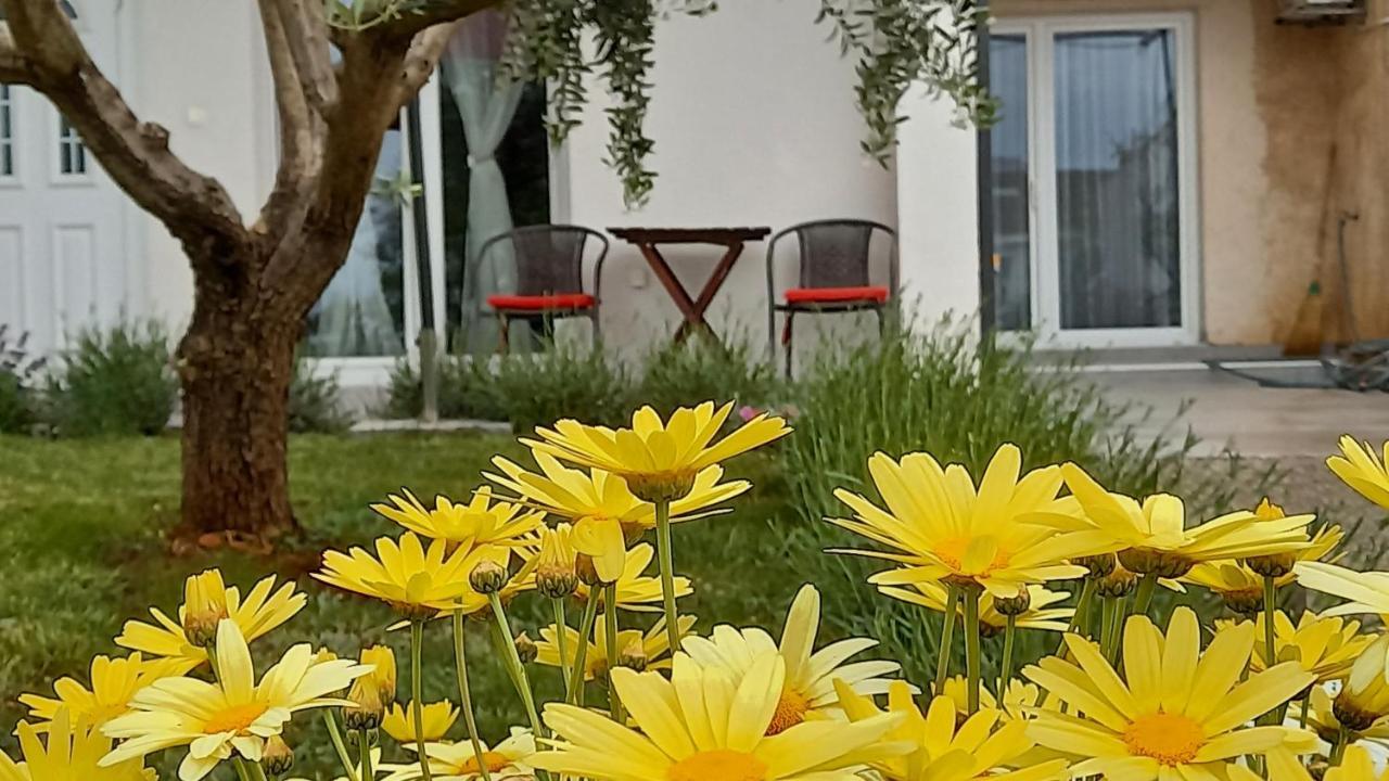 Leona Apartment Vidikovac, Pula Dış mekan fotoğraf